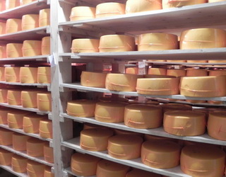 «Бель Шостка Україна» в 2016 році продала на 7% менше твердих сирів